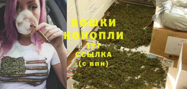 эйфоретик Богданович