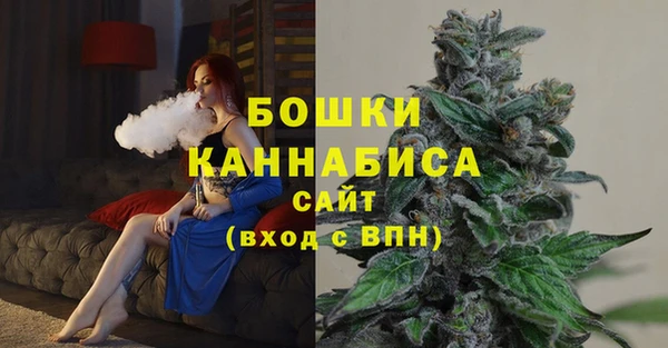 эйфоретик Богданович