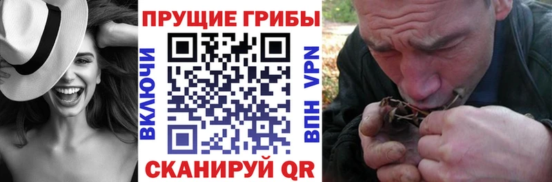 KRAKEN вход  Кемерово  Псилоцибиновые грибы прущие грибы 